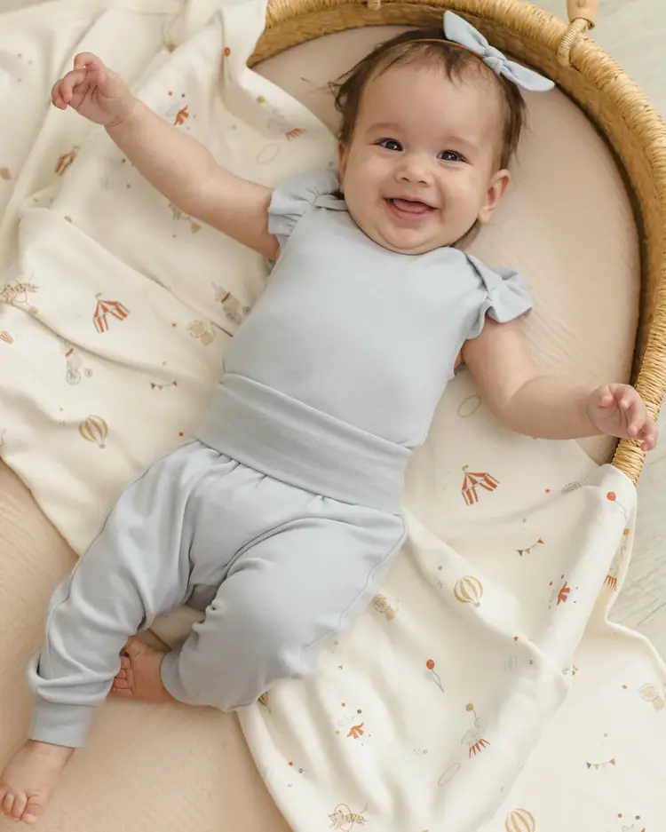 Quincy Mae Swaddle Carnival