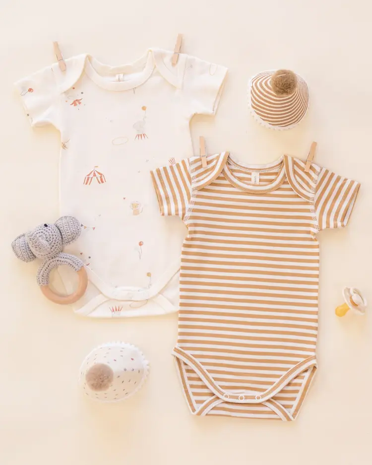 Quincy Mae Short Sleeve Bodysuit Pack Carnival, Honey Stripe