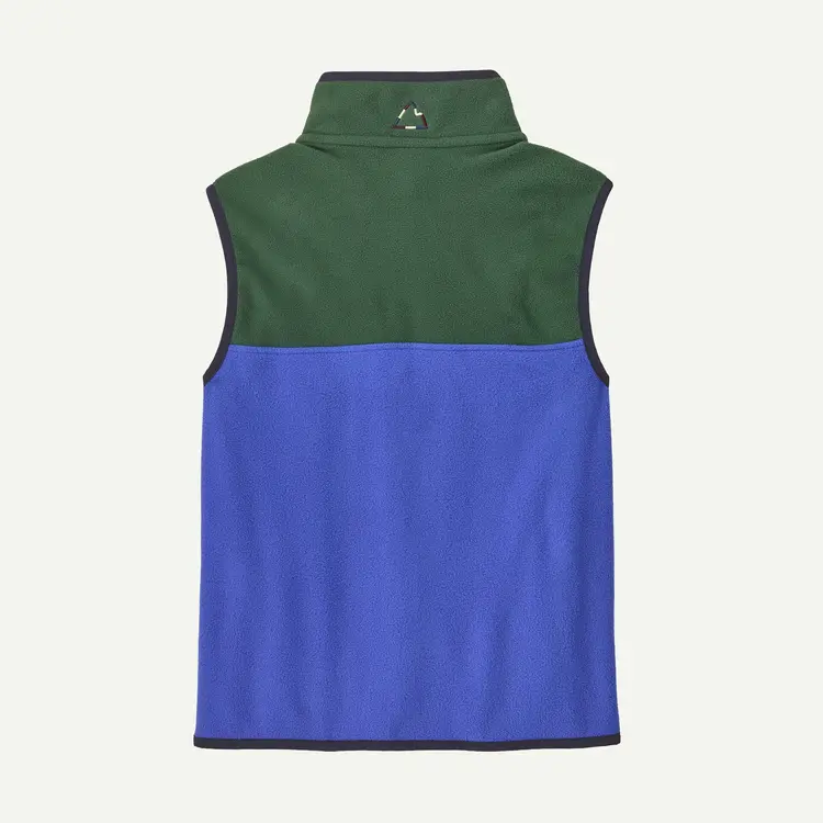 Patagonia Kids’ Micro D® Snap-T® Fleece Vest