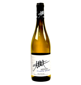 Italy Ayunta, Nerello Mascalese Bianco 2023