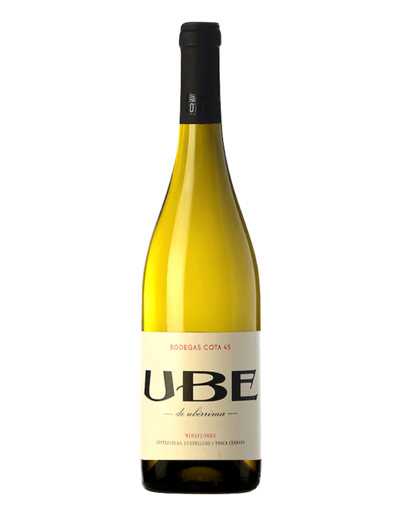 Spain Ramiro Ibañez, UBE 'Miraflores' Palomino 2024