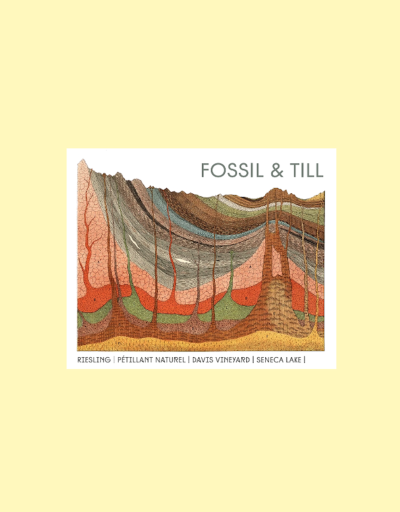 USA Fossil & Till,  Finger Lakes Riesling Pet-Nat 2024