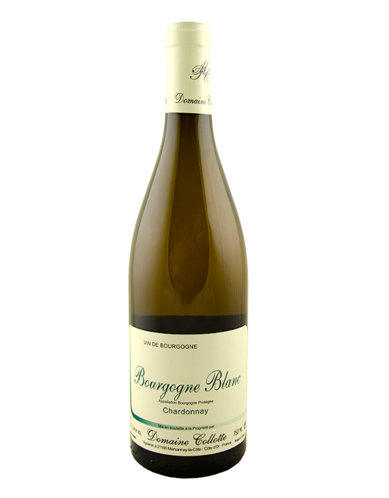France Domaine Collotte, Bourgogne Blanc 2023