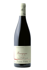 France Domaine Collotte, Pinot Noir 'Noble Souche' 2022