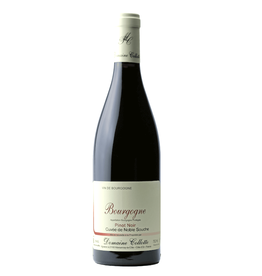 France Domaine Collotte, Pinot Noir 'Noble Souche' 2022