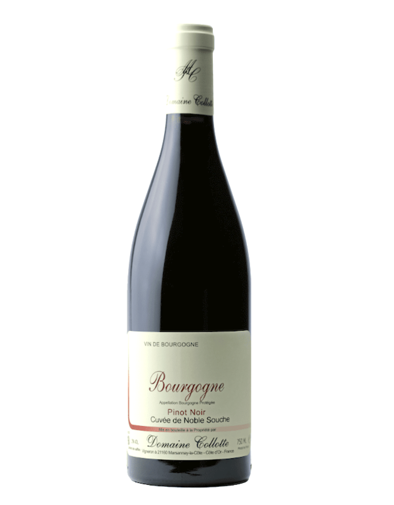 France Domaine Collotte, Pinot Noir 'Noble Souche' 2022