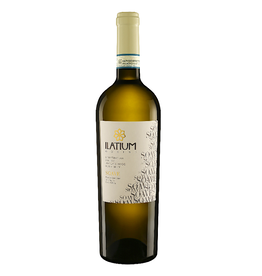 Italy Ilatium Morini, Soave DOC 2024