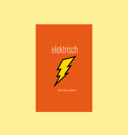 Germany Seehof, 'Elektrisch' Off-Dry Riesling Kabinett 2025
