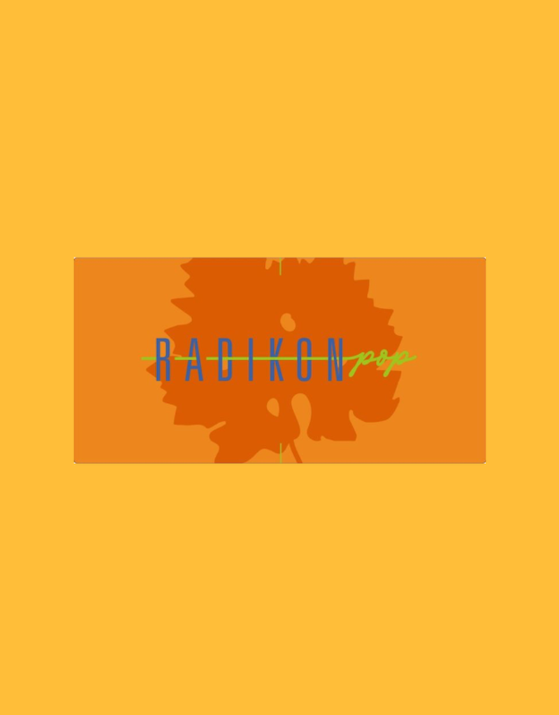 Italy Radikon, 'Pop' Vino Bianco 2024