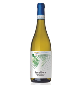 Italy Terralibera, Verdicchio dei Castelli di Jesi Superiore 2024