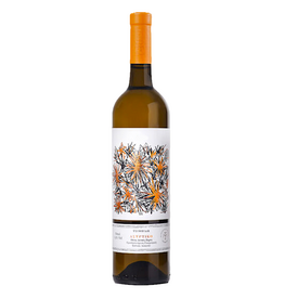 Greece Monemvasia, 'Laconia' IGT Assyrtiko 2024