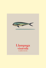 Spain 4 Kilos, 'Llampuga' Mallorca Vinicola 2024