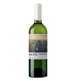 Chile Ungrafted, Semillon-Sauvignon Blanc Maipo Valley 2025