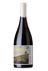 Chile Ungrafted, Old-Vine Cinsault Itata 2025