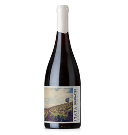 Chile Ungrafted, Old-Vine Cinsault Itata 2025