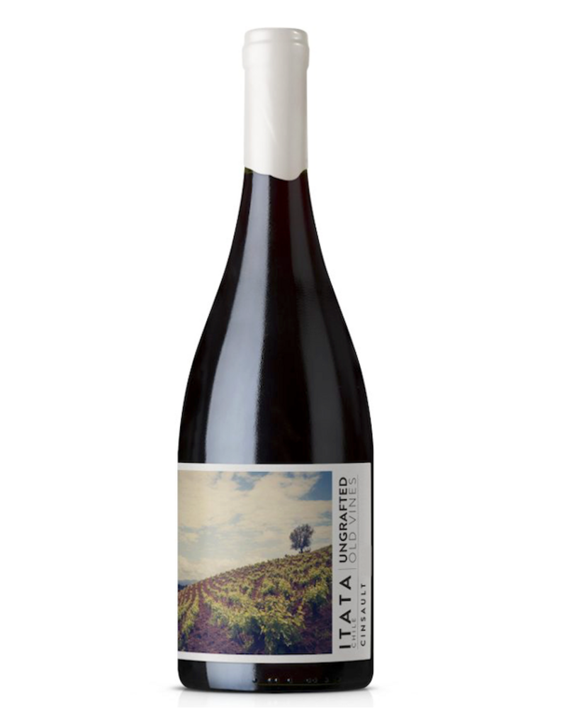 Chile Ungrafted, Old-Vine Cinsault Itata 2025