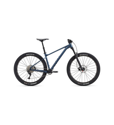 Giant Fathom 29 2