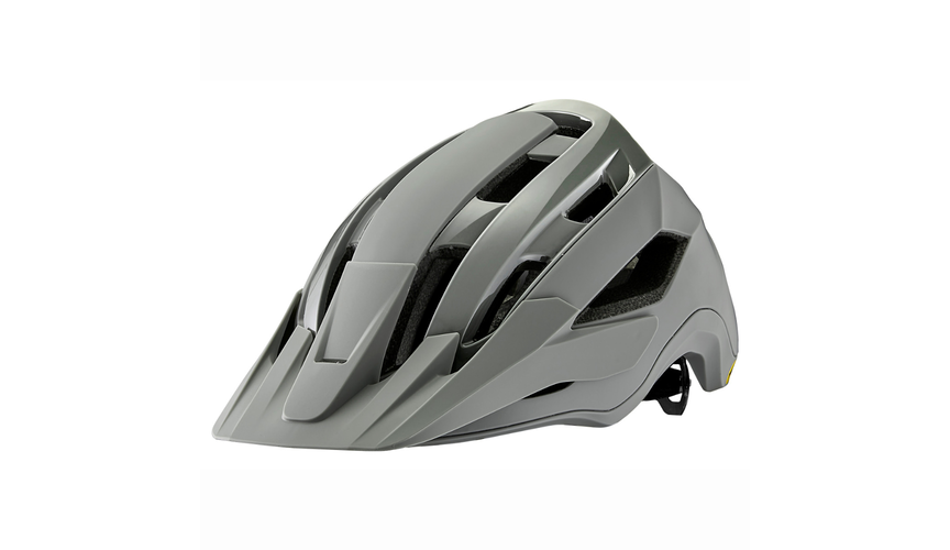 Giant Rail Helmet Mips