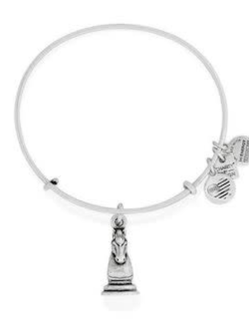 charm bangle