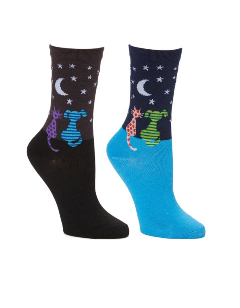 cat and dog socks