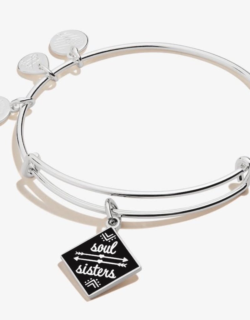 Alex and Ani Color Infusion Soul Sisters Bangle Bracelet
