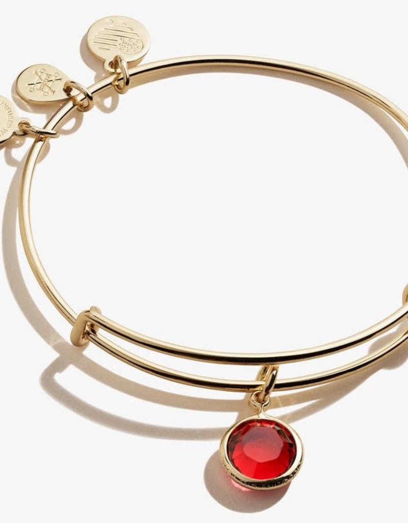 January birthstone alex and ani best sale