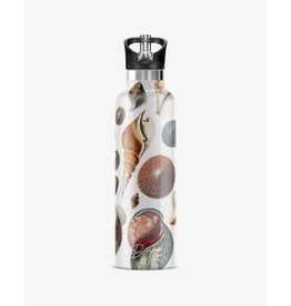 MY BOUGIE BOTTLE Sea Shells (Conchas Maris) Insulated 25 oz Water Bottle