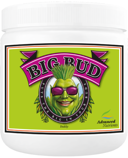 Big Bud Powder