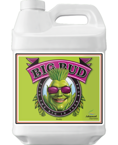 Big Bud