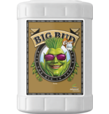 Advanced Nutrients Big Bud Coco