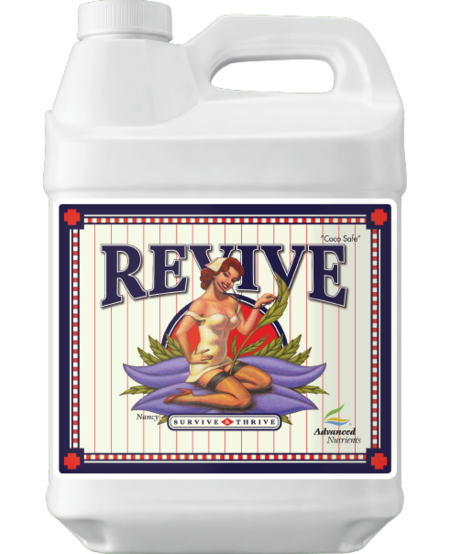 Revive