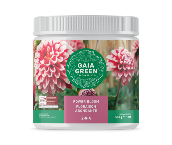 Gaia Green Power Bloom