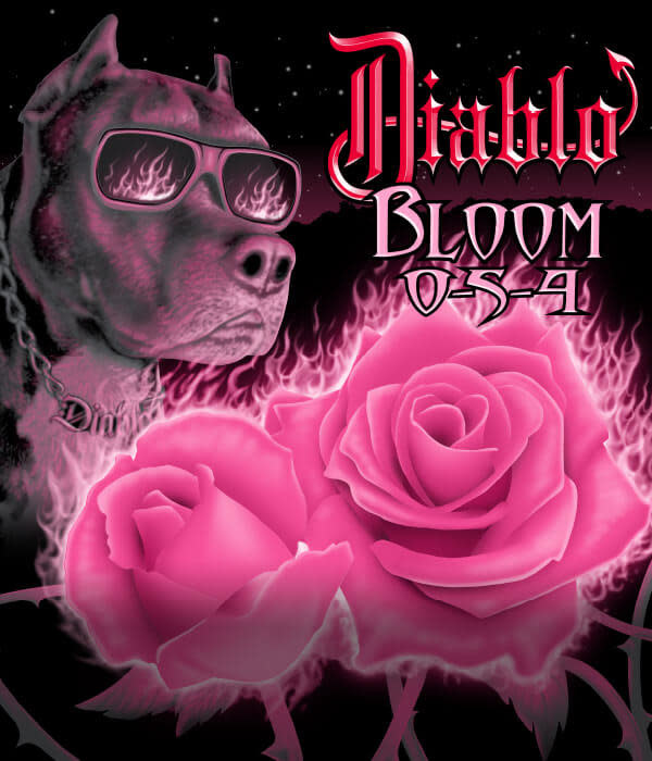 Diablo Nutrients Bloom