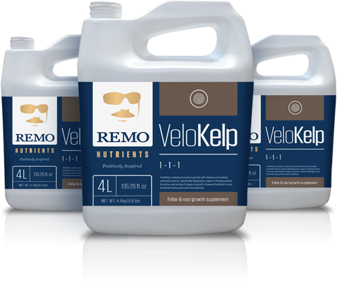 Remo Nutrients Remo's VeloKelp