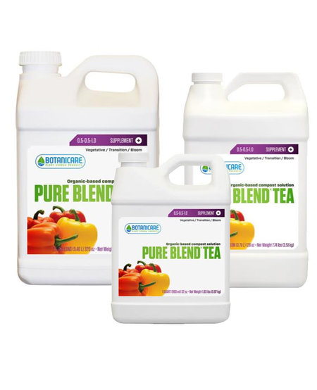 Pure Blend Tea