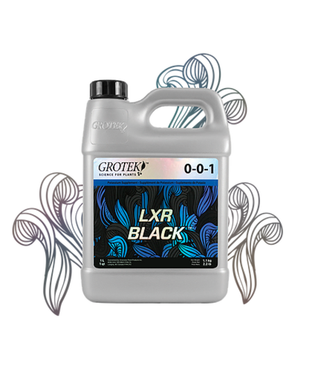 LXR BLACK