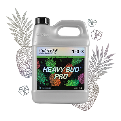 Grotek HEAVY BUD PRO