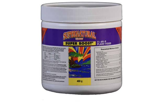 Supernatural Brand- Super Boost - Valley Indoor