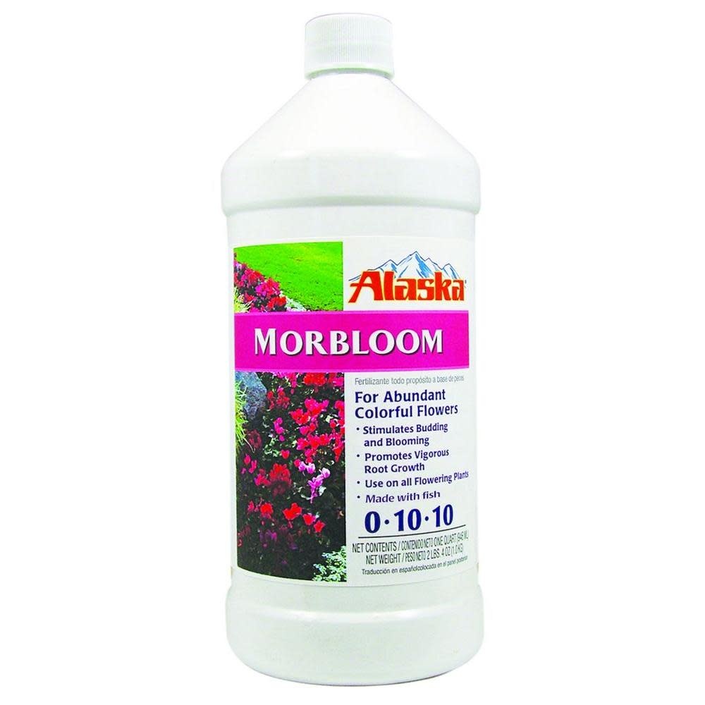 Pennington Alaska Morbloom