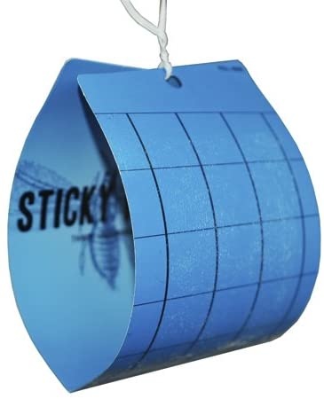 Seabright Laboratories Seabright Labs - Blue Sticky Trap (5 Pack)