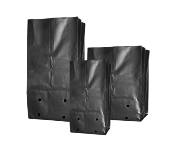 Grow Bag