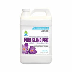 Pure Blend Pro