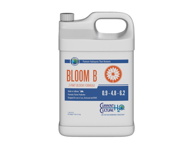 Current Culture H2O Cultured Solutions Bloom