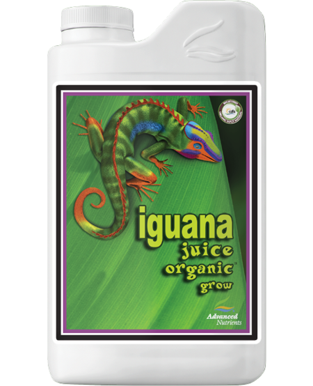 Iguana Juice