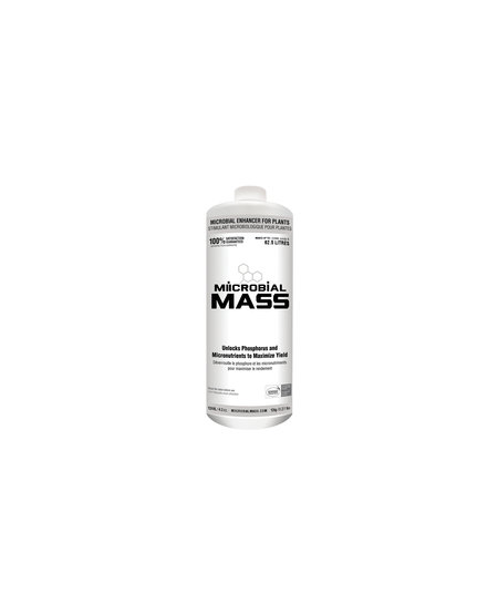 Miicrobial Mass Non Concentrate