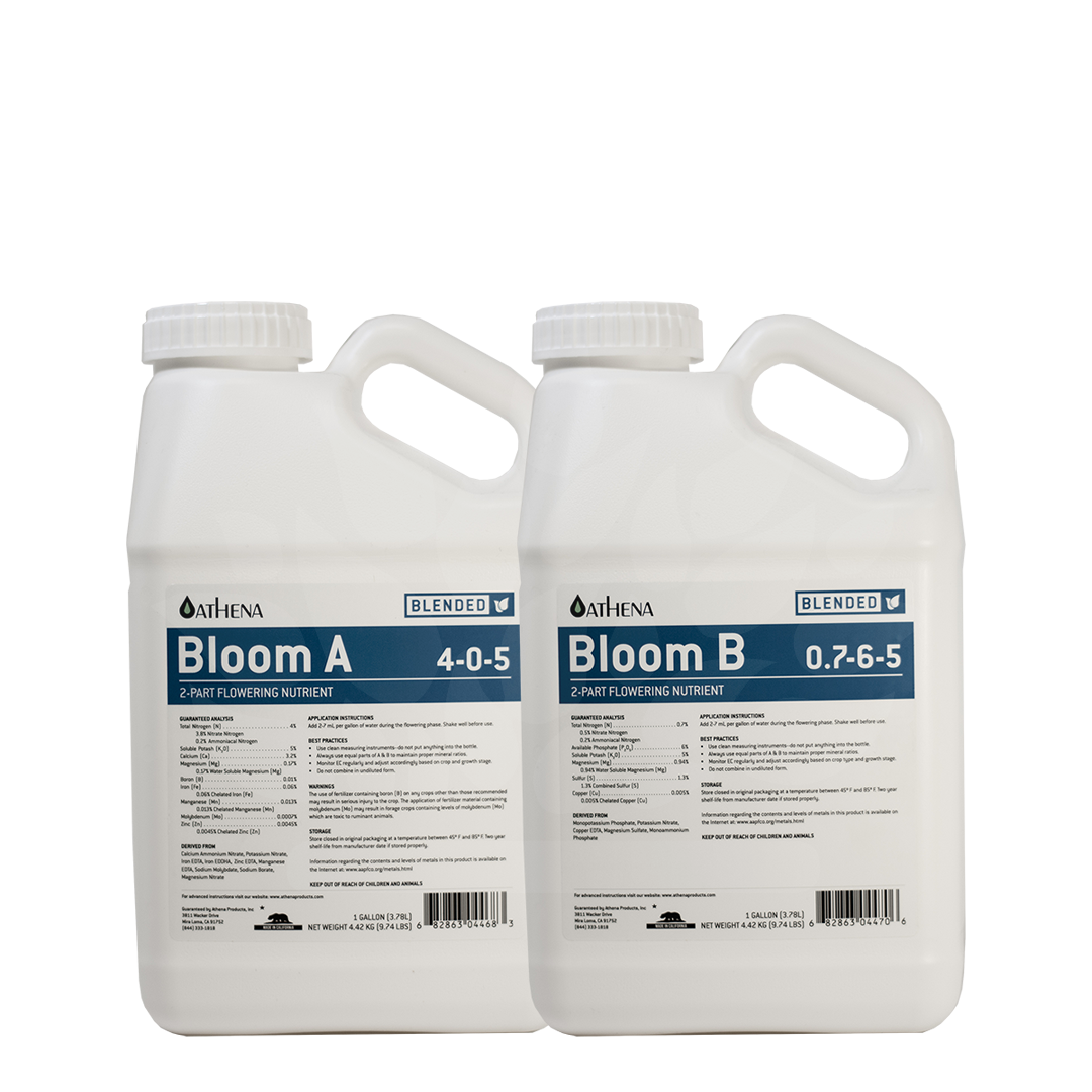 Athena Ag Blended Line Bloom