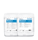 Athena Ag Blended Line Bloom