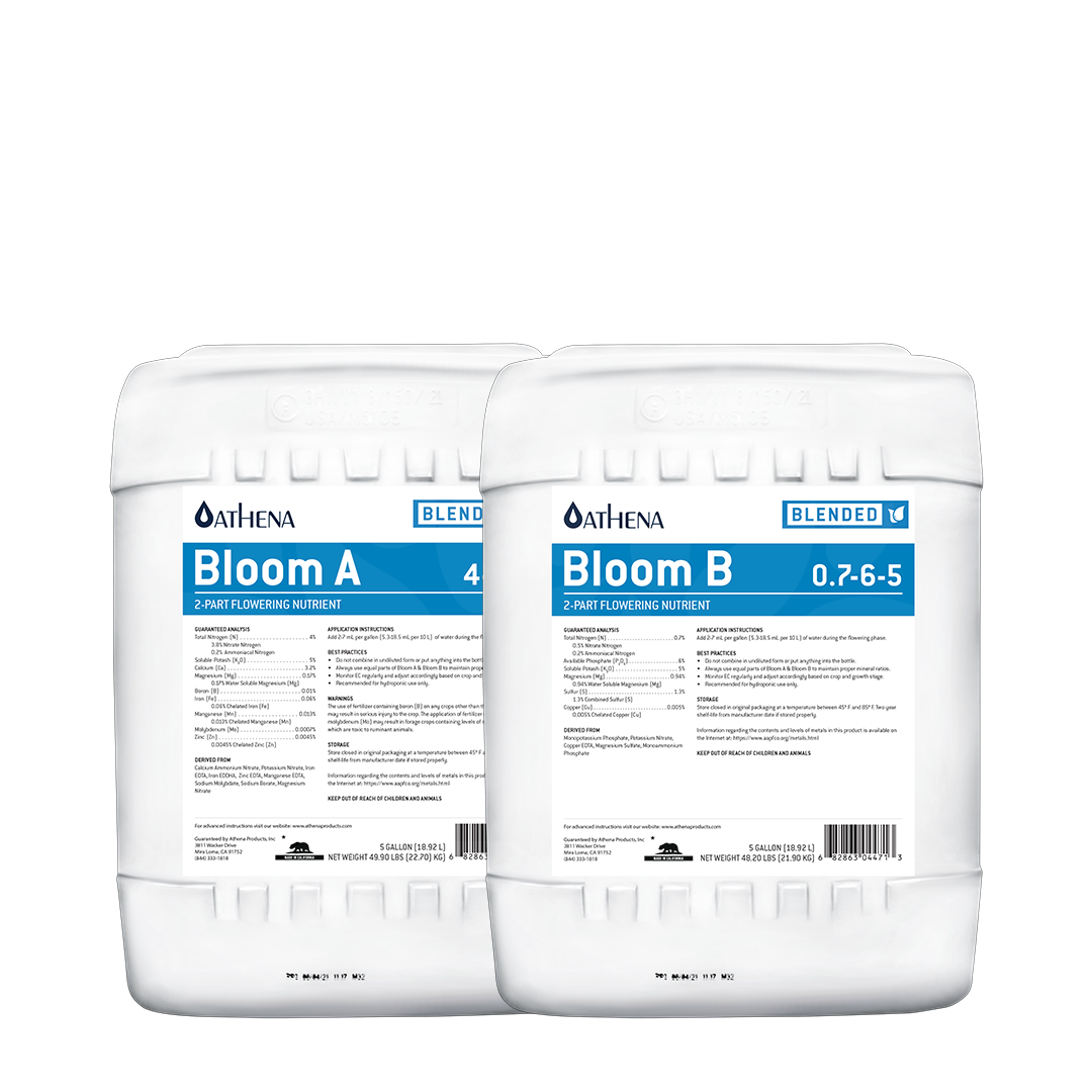 Athena Ag Blended Line Bloom