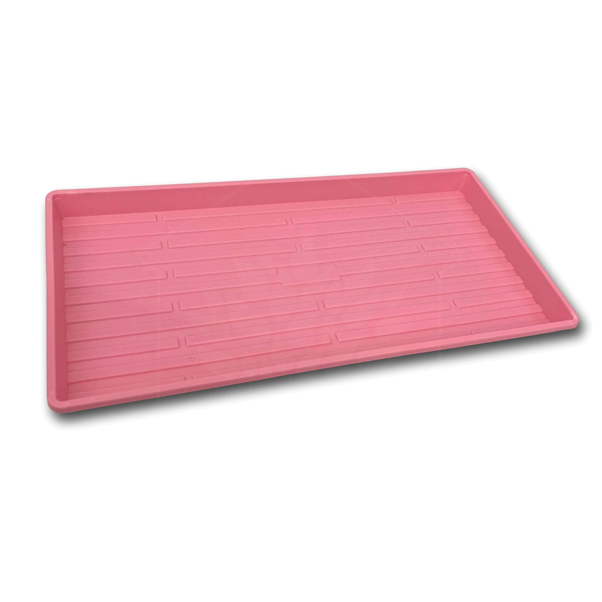 Bootstrap Farmer Microgreen (Shallow) Extra Strength Tray 10" x20" (w/Holes)