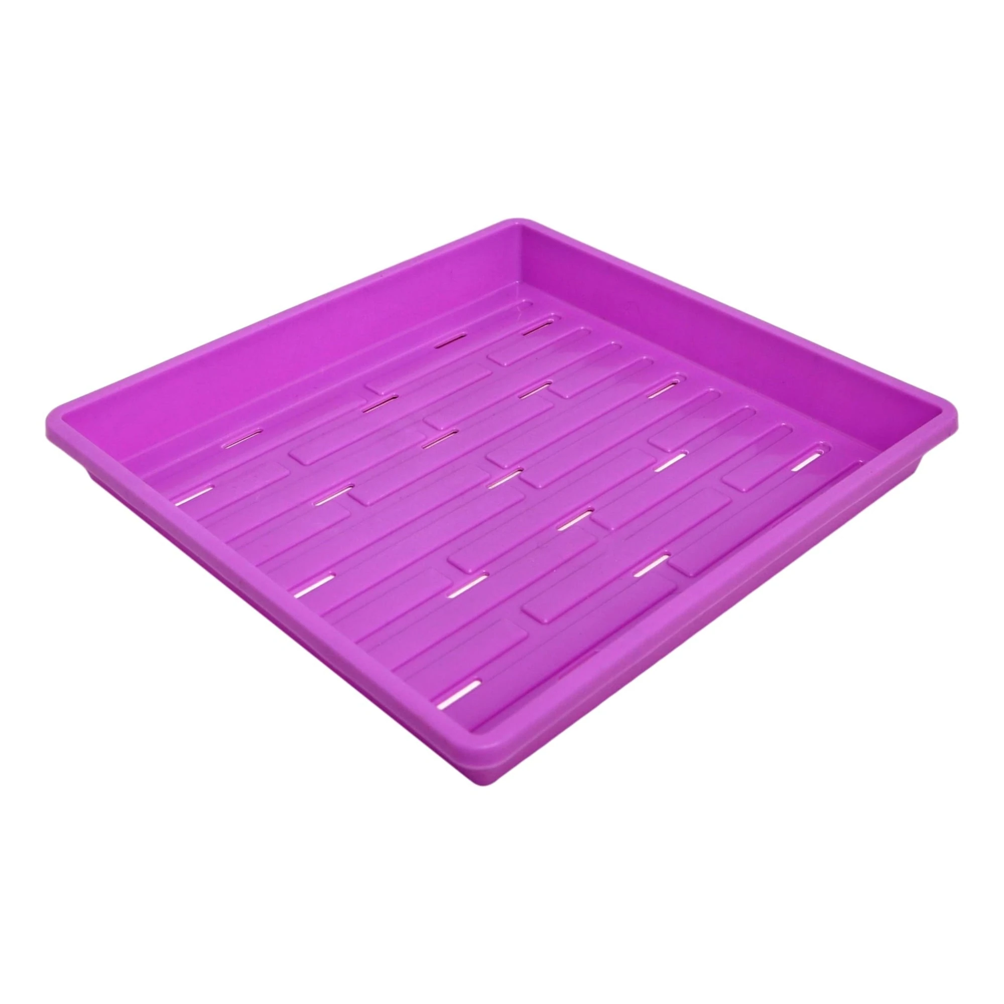 Bootstrap Farmer 10"x 10" Microgreen Tray (Holes)